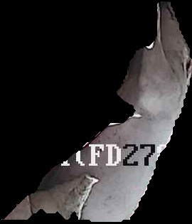 Crop