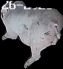 Crop