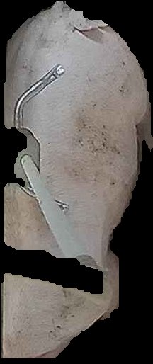 Crop
