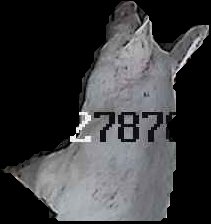 Crop