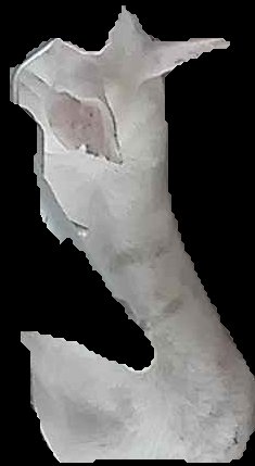 Crop