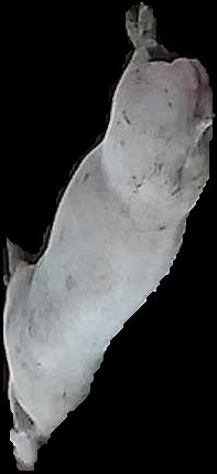 Crop