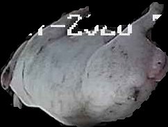 Crop