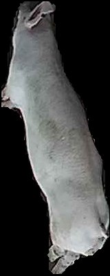 Crop