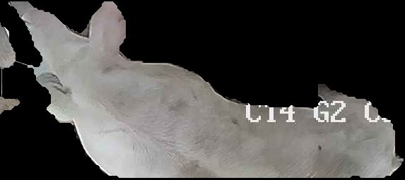 Crop