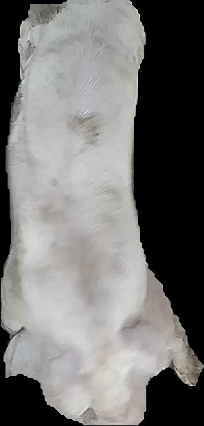 Crop
