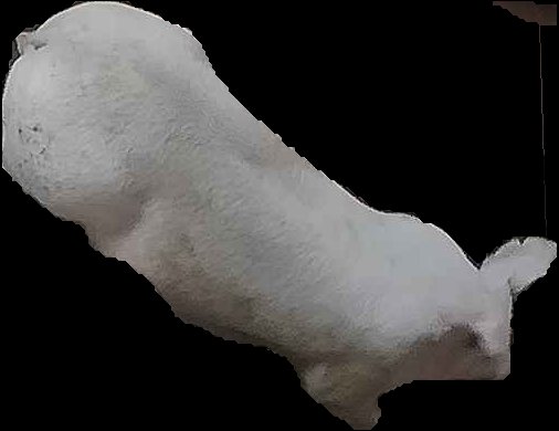 Crop