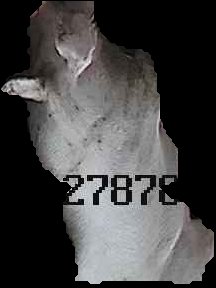 Crop