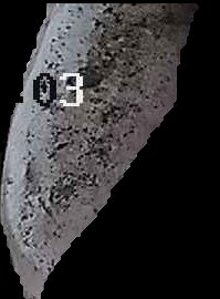 Crop
