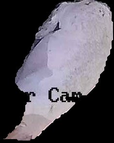 Crop
