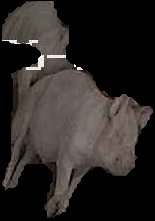 Crop