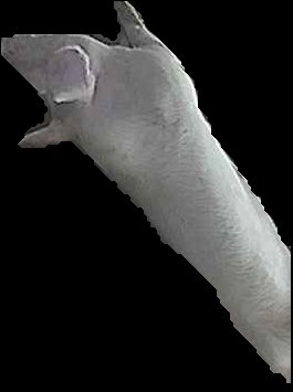 Crop