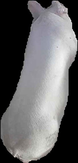 Crop