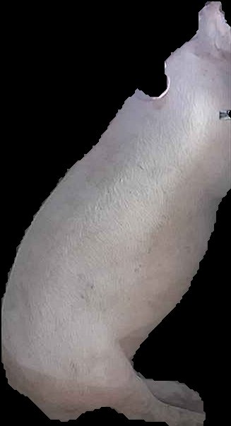 Crop