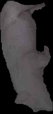 Crop