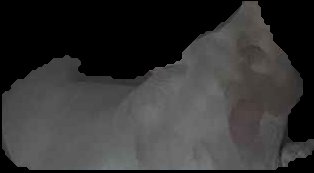 Crop
