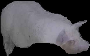 Crop