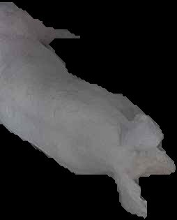 Crop
