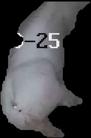 Crop