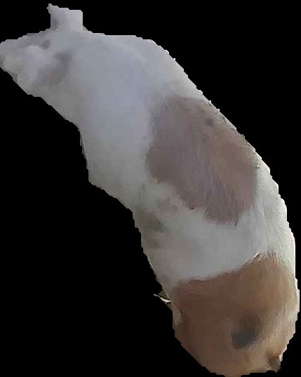 Crop
