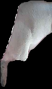 Crop