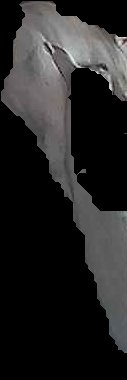 Crop