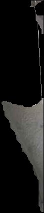 Crop