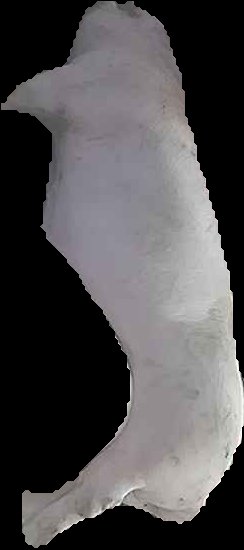 Crop