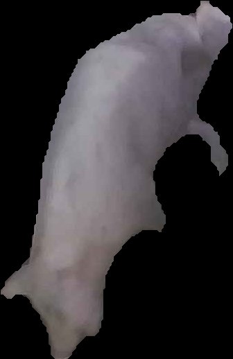 Crop