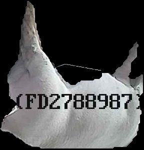 Crop
