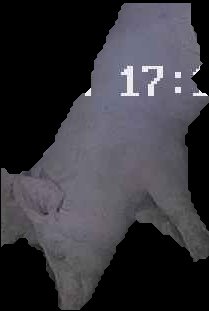 Crop