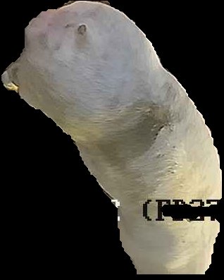Crop