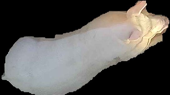 Crop