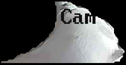 Crop