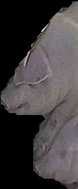 Crop