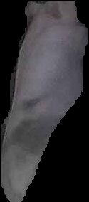 Crop