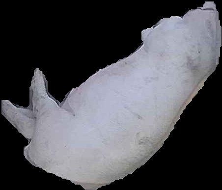 Crop