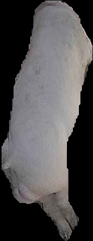 Crop