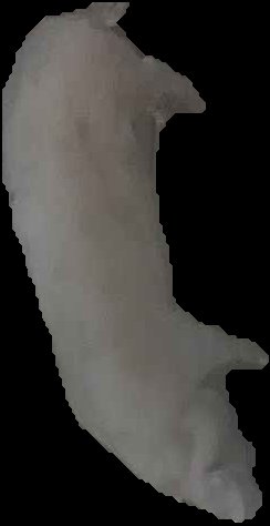Crop