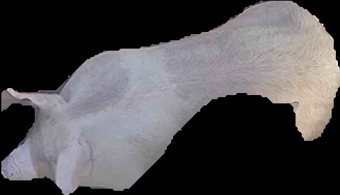 Crop