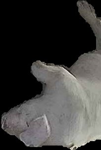 Crop