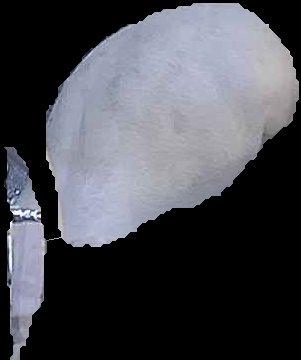 Crop