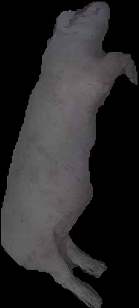 Crop