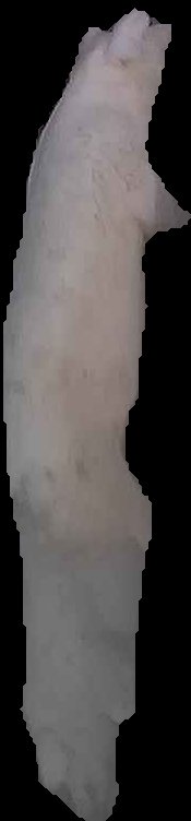 Crop