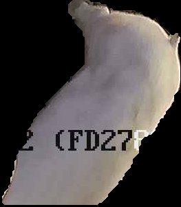 Crop