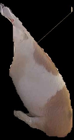 Crop