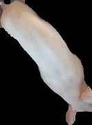 Crop