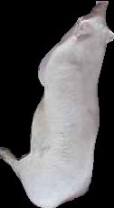 Crop