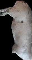 Crop