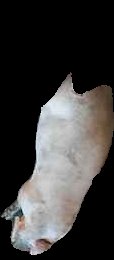 Crop